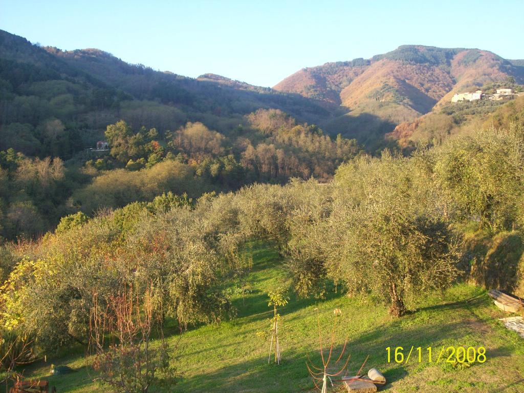 Апартаменти La Casa Dei Limoni Matraia Екстер'єр фото
