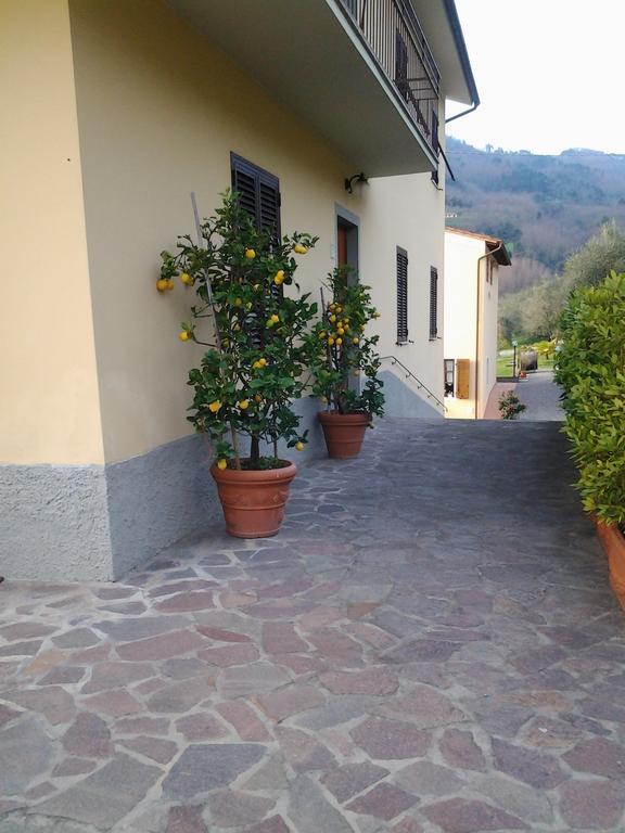 Апартаменти La Casa Dei Limoni Matraia Екстер'єр фото